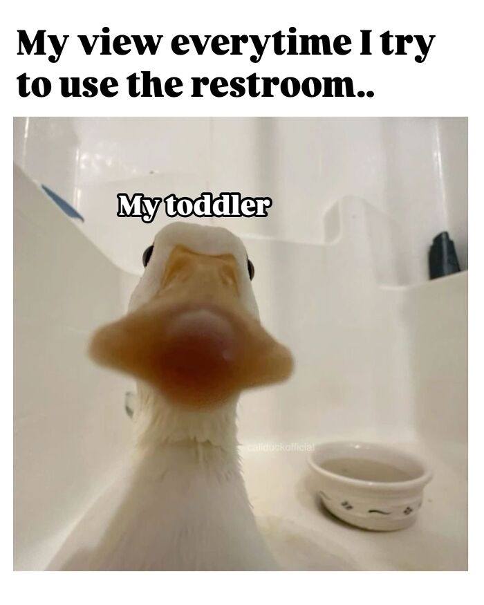 &#8220;I&#8217;m Not Like A Regular Mom, I&#8217;m A Cool Mom&#8221;: 93 Memes That Perfectly Capture What It&#8217;s Like Being A Parent