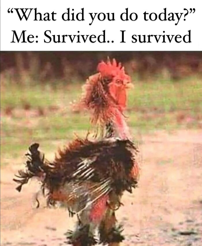 &#8220;I&#8217;m Not Like A Regular Mom, I&#8217;m A Cool Mom&#8221;: 93 Memes That Perfectly Capture What It&#8217;s Like Being A Parent