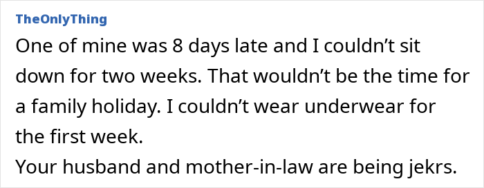 Guy Tells Pregnant Wife “I’ll Just Go With The 2-Year-Old” After She Refuses Postpartum Trip