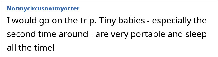 Guy Tells Pregnant Wife “I’ll Just Go With The 2-Year-Old” After She Refuses Postpartum Trip