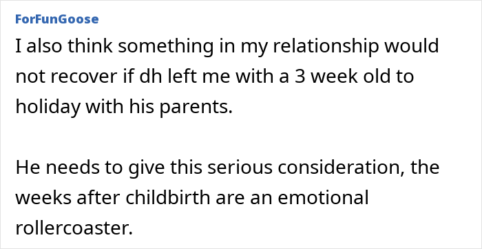 Guy Tells Pregnant Wife “I’ll Just Go With The 2-Year-Old” After She Refuses Postpartum Trip
