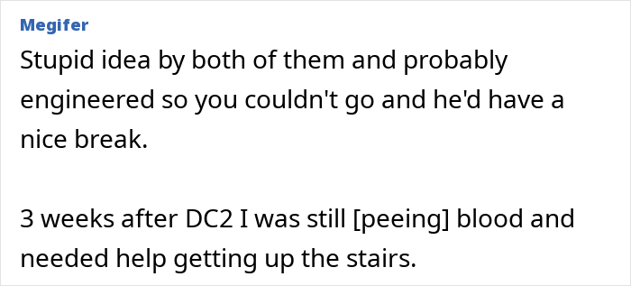Guy Tells Pregnant Wife “I’ll Just Go With The 2-Year-Old” After She Refuses Postpartum Trip