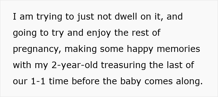 Guy Tells Pregnant Wife “I’ll Just Go With The 2-Year-Old” After She Refuses Postpartum Trip