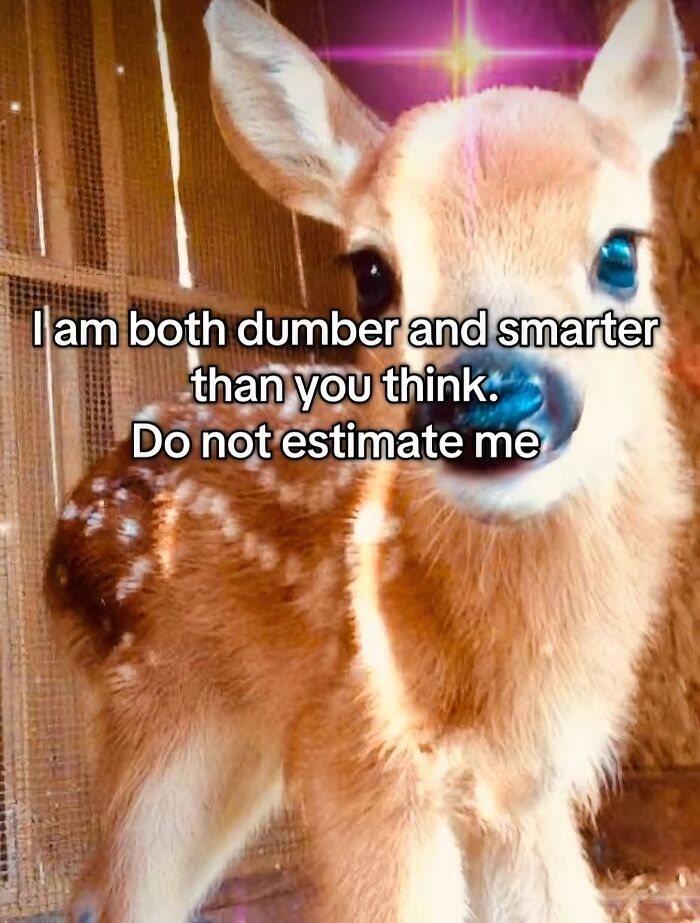 130 Hilarious Memes Neurodivergent People Might Find Relatable