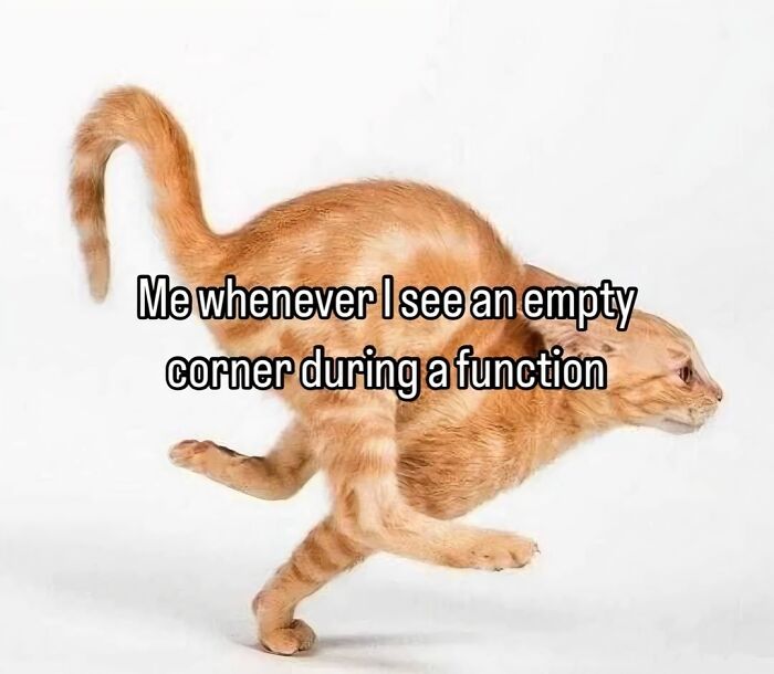 130 Hilarious Memes Neurodivergent People Might Find Relatable