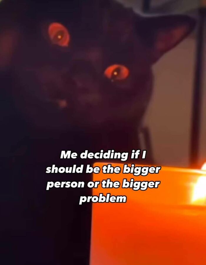 130 Hilarious Memes Neurodivergent People Might Find Relatable
