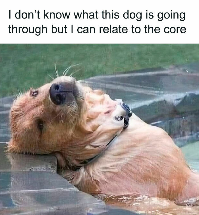 130 Hilarious Memes Neurodivergent People Might Find Relatable