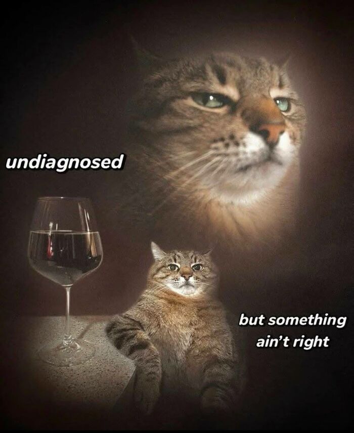 130 Hilarious Memes Neurodivergent People Might Find Relatable