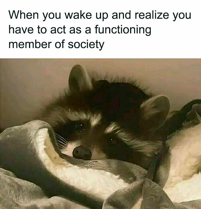 130 Hilarious Memes Neurodivergent People Might Find Relatable