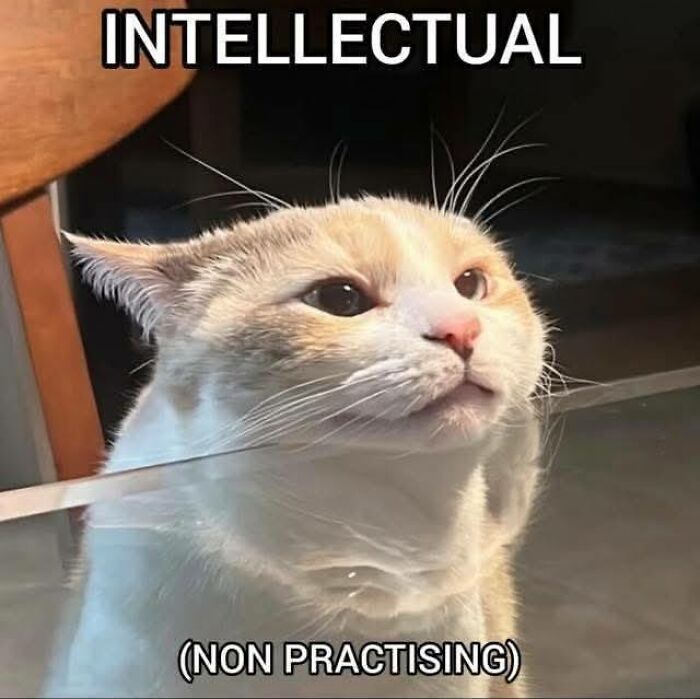 130 Hilarious Memes Neurodivergent People Might Find Relatable