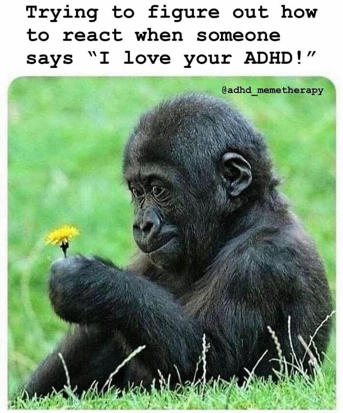130 Hilarious Memes Neurodivergent People Might Find Relatable