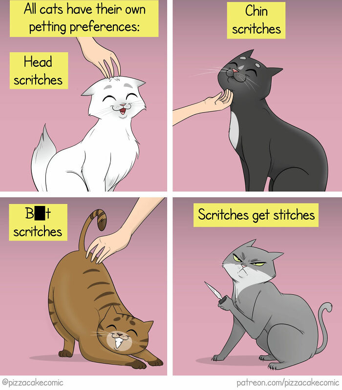 50 Funny Comics About Life, Cats, And Everyday Chaos (New Pics)