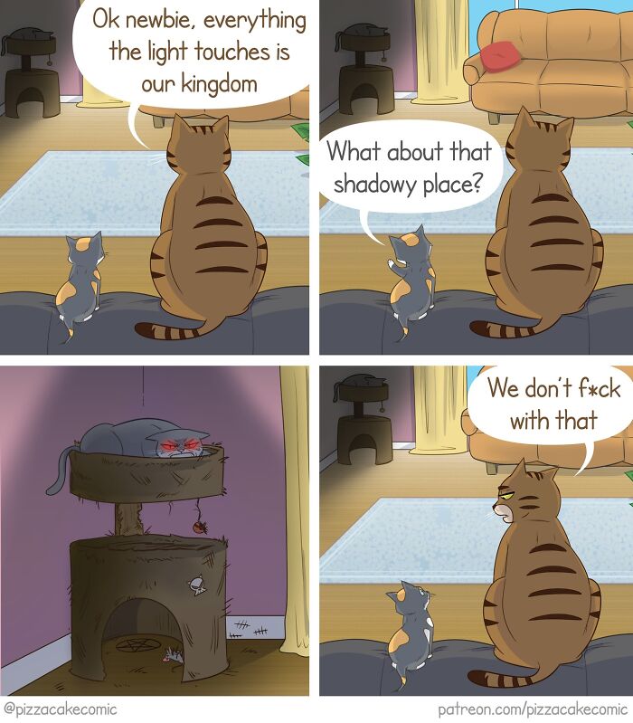 50 Funny Comics About Life, Cats, And Everyday Chaos (New Pics)
