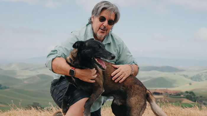 Hero Dog Jumps In Front Of Angry Bull During Family Walk, Loses A Tooth But Saves His People