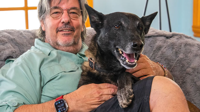 Hero Dog Jumps In Front Of Angry Bull During Family Walk, Loses A Tooth But Saves His People