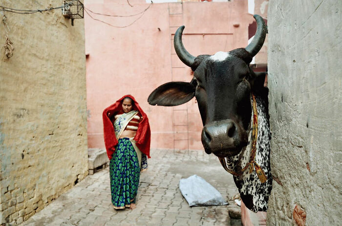 50 Street Photos Showcasing The Unexpected Beauty Of Real Life By Gil Kreslavsky