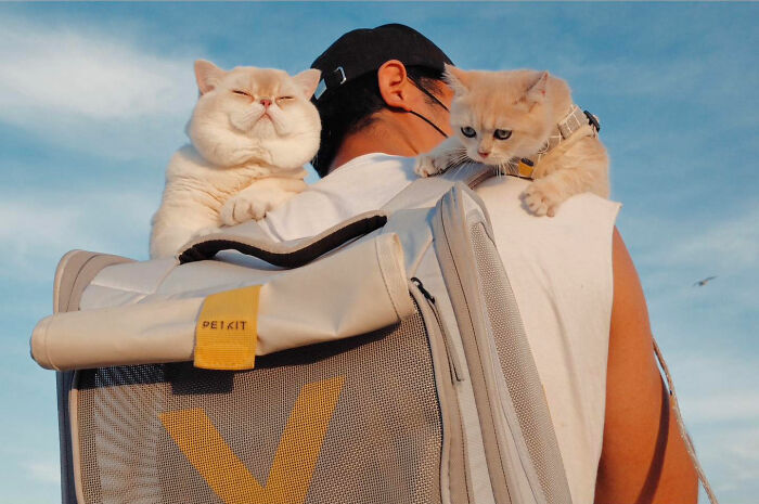 50 Street Photos Showcasing The Unexpected Beauty Of Real Life By Gil Kreslavsky