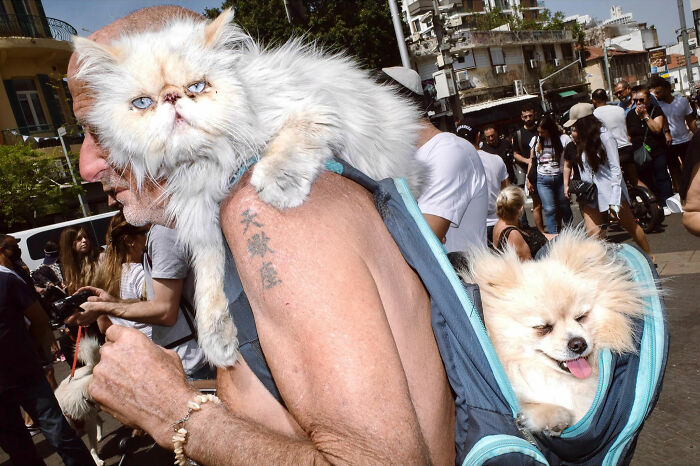 50 Street Photos Showcasing The Unexpected Beauty Of Real Life By Gil Kreslavsky
