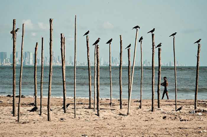 50 Street Photos Showcasing The Unexpected Beauty Of Real Life By Gil Kreslavsky