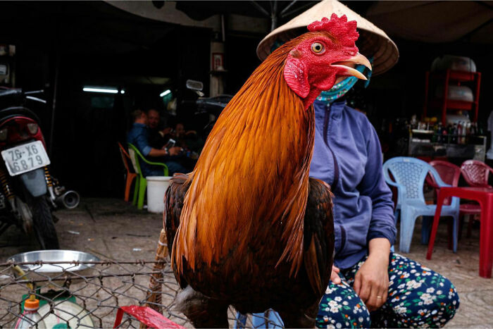 50 Street Photos Showcasing The Unexpected Beauty Of Real Life By Gil Kreslavsky