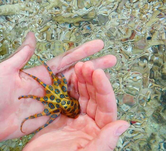 Reader’s Vote: What Is The Scariest Animal In The World?