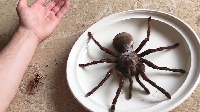 Reader’s Vote: What Is The Scariest Animal In The World?
