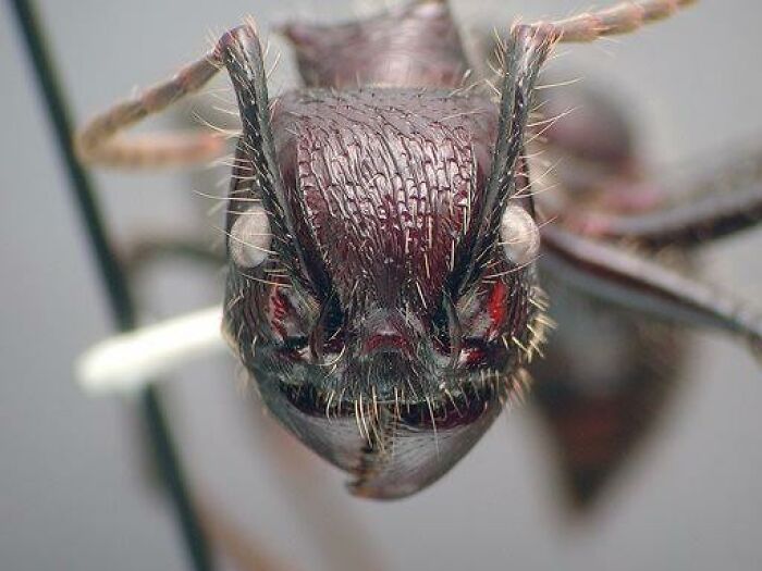 Reader’s Vote: What Is The Scariest Animal In The World?