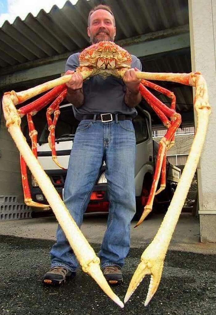 Reader’s Vote: What Is The Scariest Animal In The World?