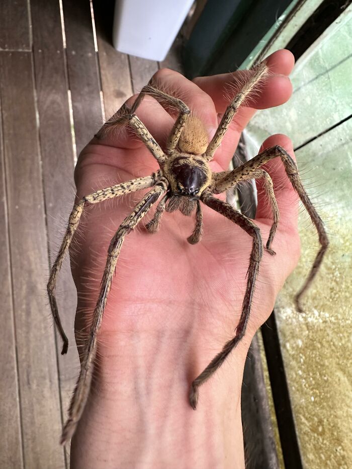 Reader’s Vote: What Is The Scariest Animal In The World?