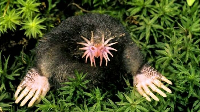 Reader’s Vote: What Is The Scariest Animal In The World?