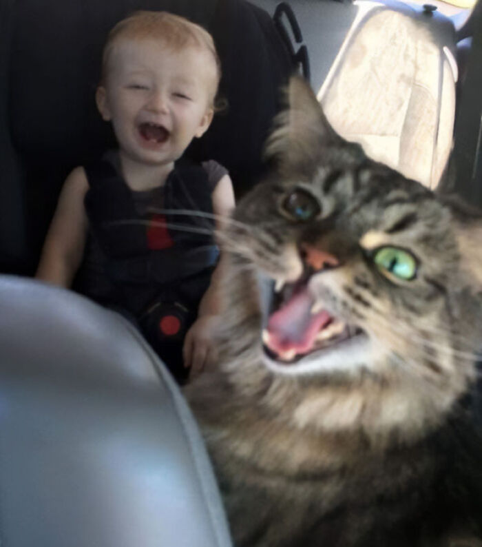 78 Times People Took Vacation Pics That Belong In A Comedy Special