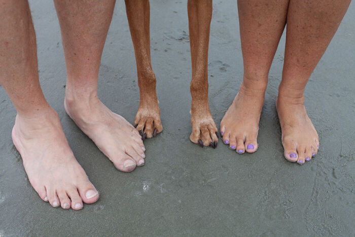 78 Times People Took Vacation Pics That Belong In A Comedy Special