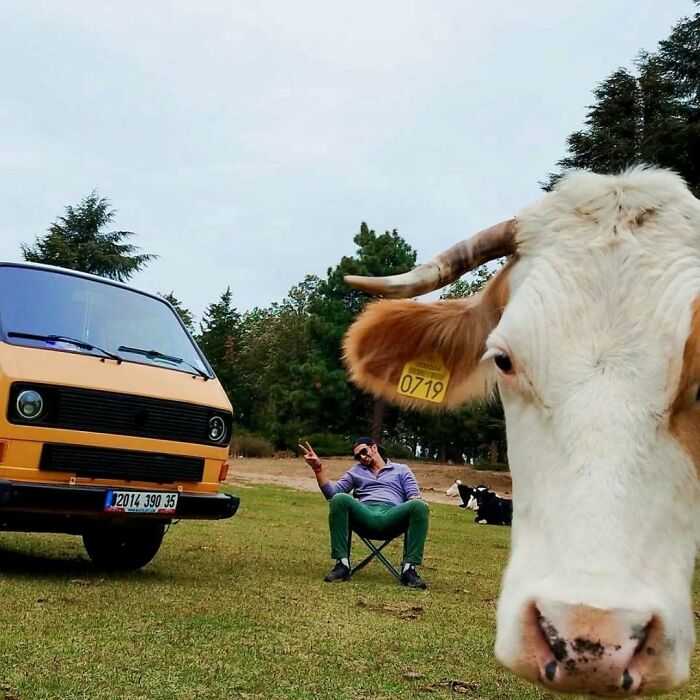 78 Times People Took Vacation Pics That Belong In A Comedy Special