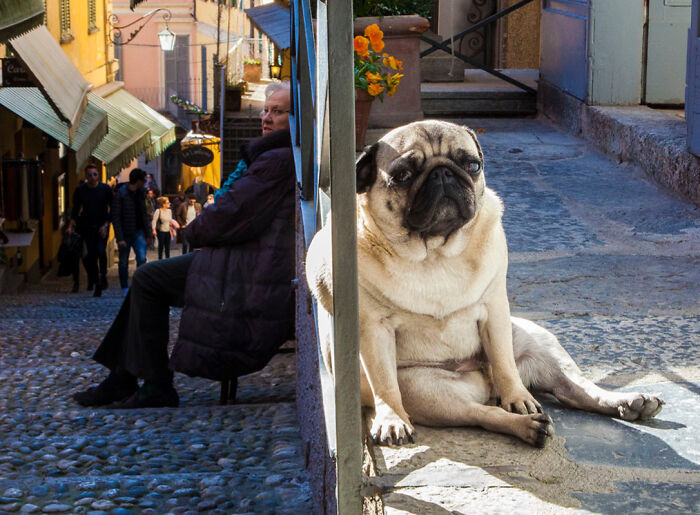 78 Times People Took Vacation Pics That Belong In A Comedy Special