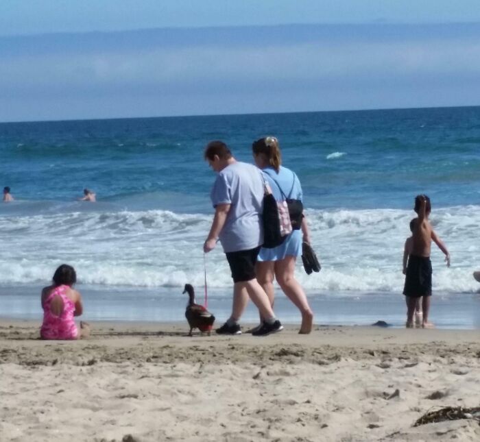 78 Times People Took Vacation Pics That Belong In A Comedy Special