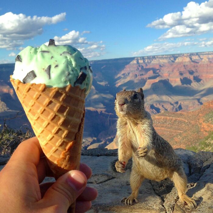 78 Times People Took Vacation Pics That Belong In A Comedy Special
