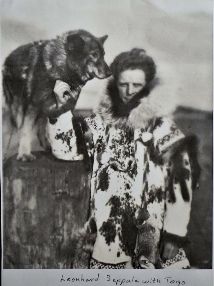 97 Fascinating Historical Photos That Might Change Your Perspective On Pets