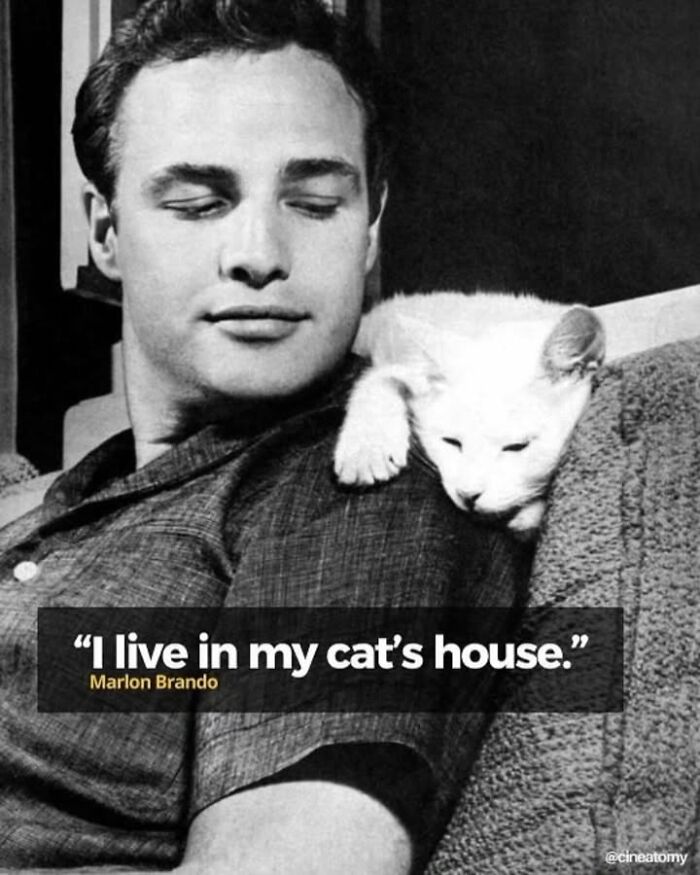 97 Fascinating Historical Photos That Might Change Your Perspective On Pets