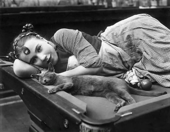 97 Fascinating Historical Photos That Might Change Your Perspective On Pets