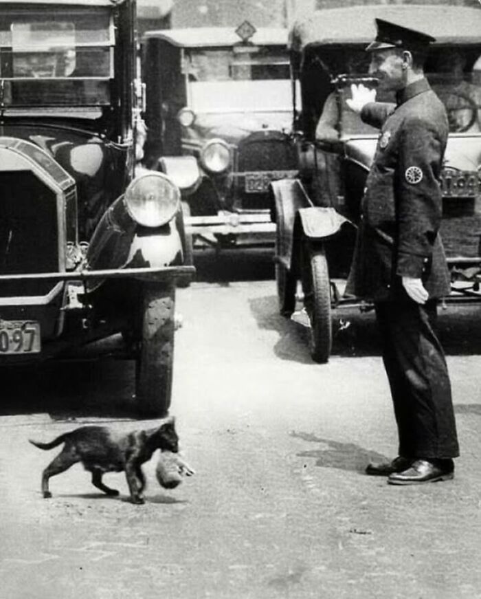 97 Fascinating Historical Photos That Might Change Your Perspective On Pets