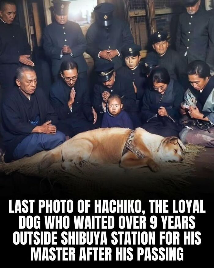97 Fascinating Historical Photos That Might Change Your Perspective On Pets