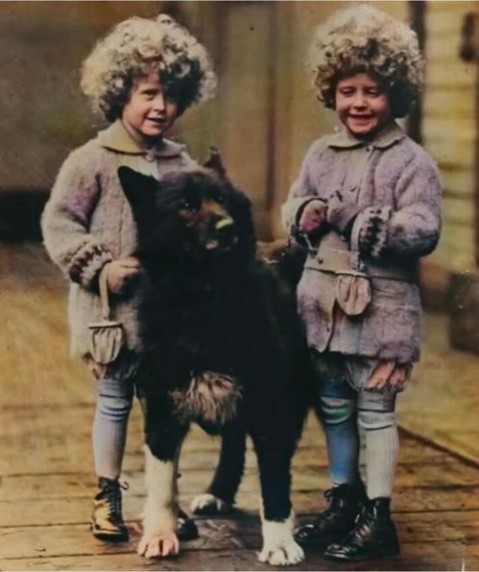 97 Fascinating Historical Photos That Might Change Your Perspective On Pets