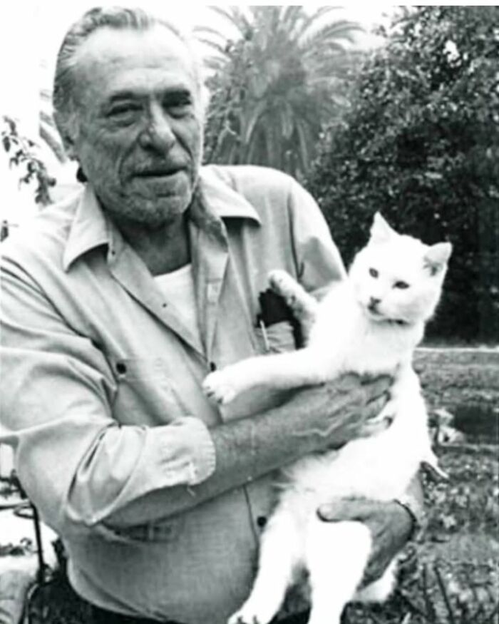 97 Fascinating Historical Photos That Might Change Your Perspective On Pets