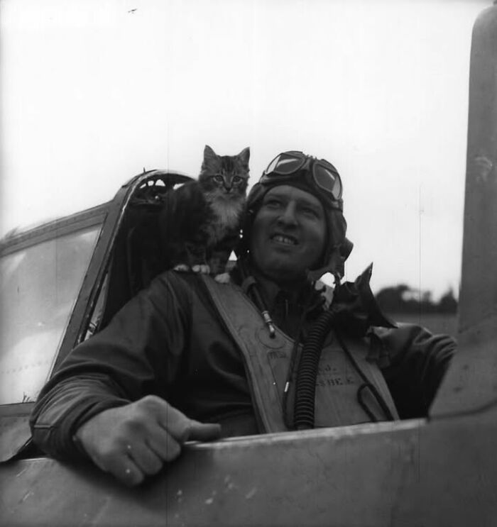 97 Fascinating Historical Photos That Might Change Your Perspective On Pets