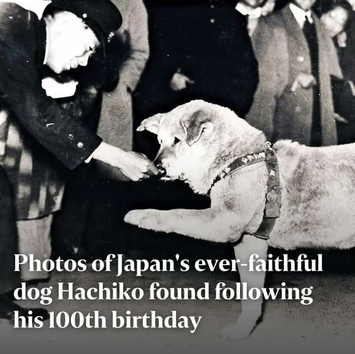 97 Fascinating Historical Photos That Might Change Your Perspective On Pets
