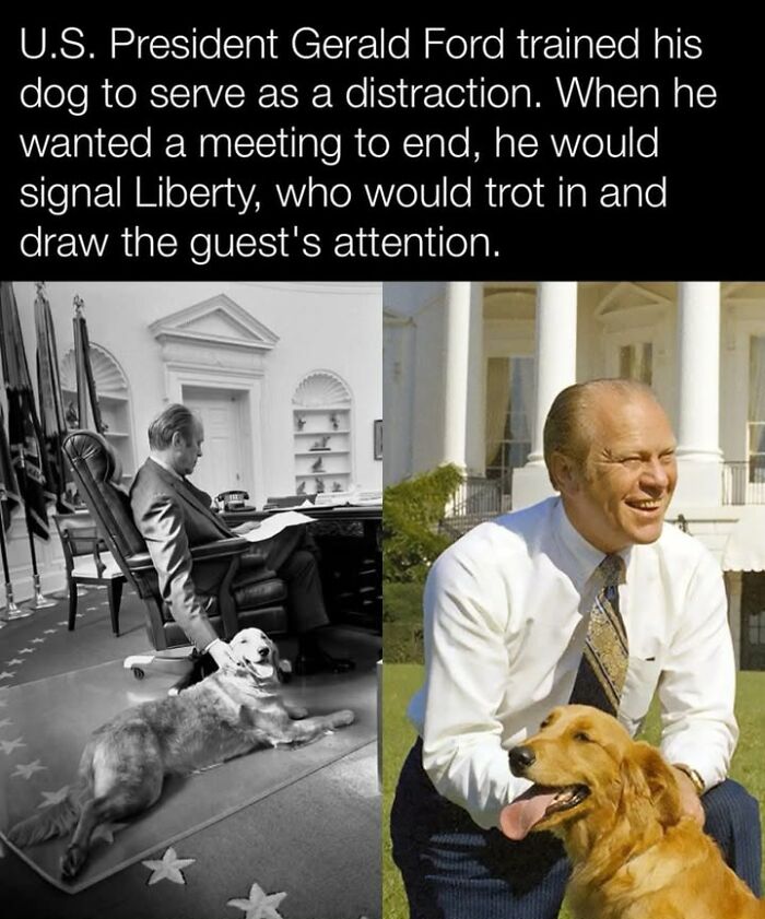 97 Fascinating Historical Photos That Might Change Your Perspective On Pets
