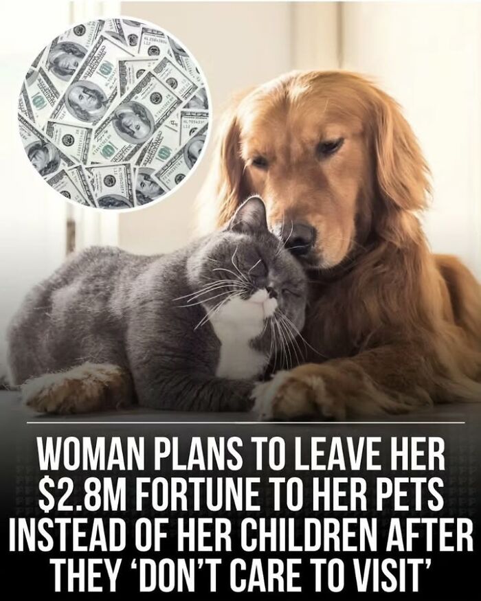 97 Fascinating Historical Photos That Might Change Your Perspective On Pets