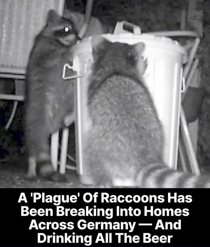 97 Fascinating Historical Photos That Might Change Your Perspective On Pets