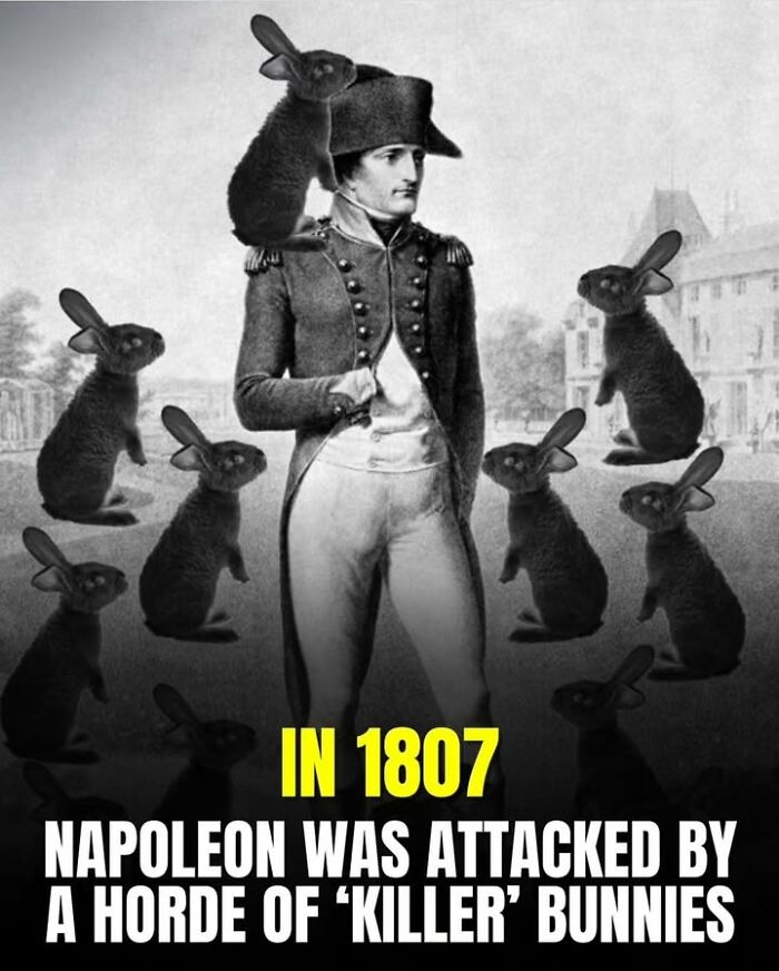 97 Fascinating Historical Photos That Might Change Your Perspective On Pets