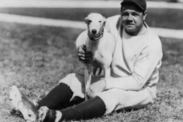 97 Fascinating Historical Photos That Might Change Your Perspective On Pets